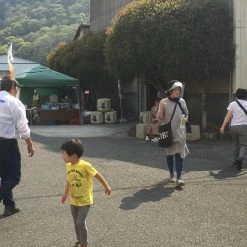 CIBI Grocery Sake - Shiragiku Tokubetsu Junmai 500ml Sake Bottle & Cup