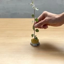 CIBI CIBI Autumn / Winter Selections Kenzan Flower Arrangement Tool (M)