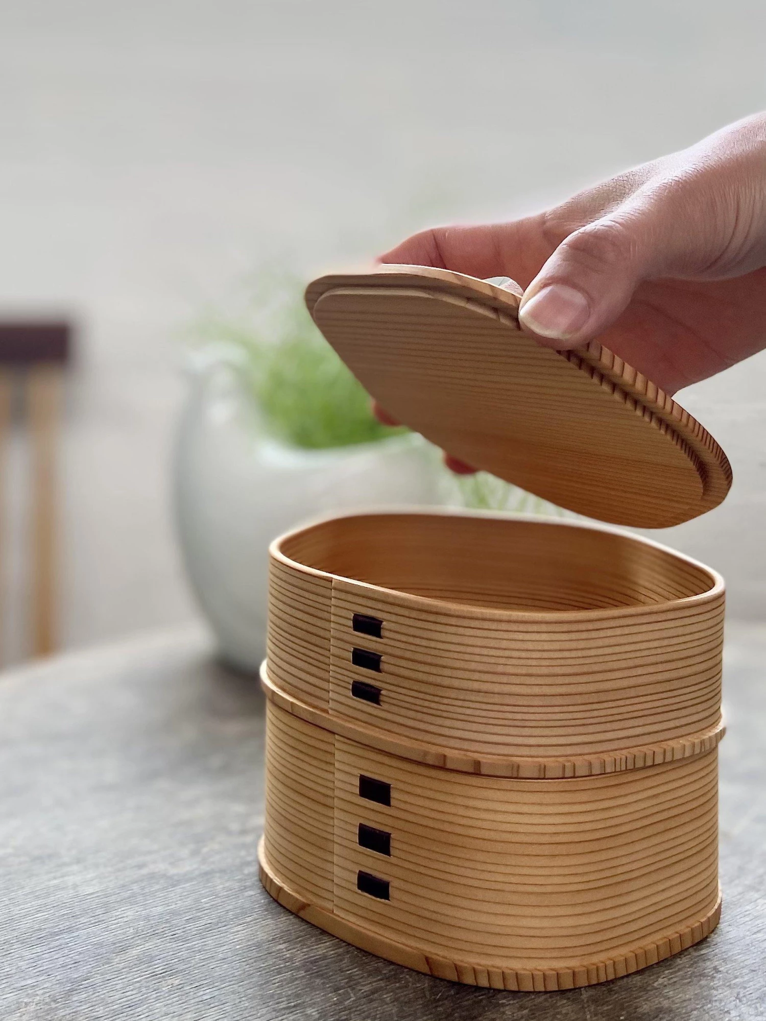 Odate Kougei Sha Magewappa Wooden Bento Box - Ume Plum Flower 2 Layers