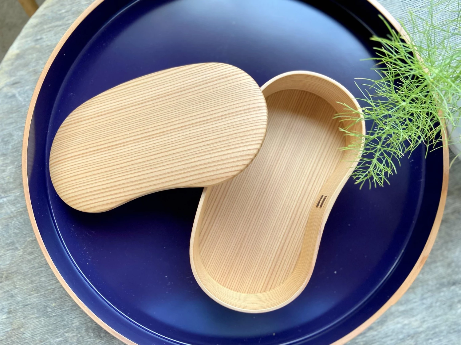 Odate Kougei Sha Magewappa Wooden Bento Box - Hango 1 Layer